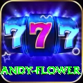 andy flower Gold Edition v1.1.3
