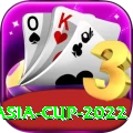 asia cup 2022 Deluxe Edition v4.6.5