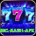 bbl big bash apk Master Pro v4.8.8