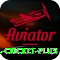 bbl cricket Plus PK v5.2.2