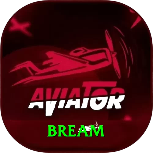 bream Premium Edition v5.1.3 - 2