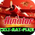 cricket bat Money Pro v4.3.2