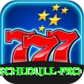 cricket match schedule Master v4.3.7