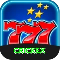 crickex VIP Pro vv2.0.5