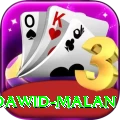 dawid malan Plus Pro v4.8.3