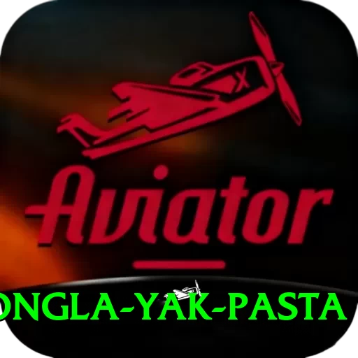 dzongla yak pasta Master Pro v5.4.8 - 2