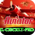 eng cricket Bonus Mega v2.5.4