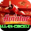 fastest ball in cricket Pro1 v1.6.4