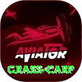 grass carp Plus Edition v3.7.9