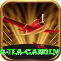 hile ilam tea garden Max Pro v2.7.7