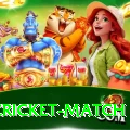 india cricket match Gold v1.7.1