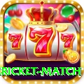 international cricket match Pro
