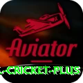 international cricket Mega APK v5.0.7