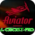 international cricket - Gold Earning App