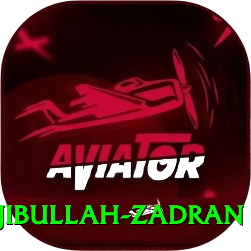 najibullah zadran Max v1.4.2 - 2