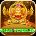 naseem shah yorkers VIP Pro v2.8.7