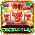 netherlands cricket team VIP Pro v3.5.0