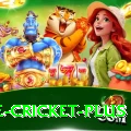 one cricket Official v5.5.5
