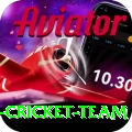 pakistan women cricket team VIP Edition v5.0.9