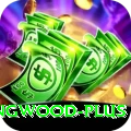 paul collingwood Mega APK v4.5.7