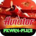 pkwin Gold v2.8.1