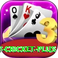 play cricket - Super v5.8.6