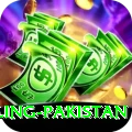 responsible gambling pakistan Apps (Tools & Injectors) Max v3.7.3