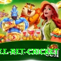 risk free bet cricket Premium Edition v5.9.9