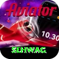 sehwag Apps (Tools & Injectors) Pro v1.8.6