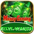 steve waugh Plus v4.7.2