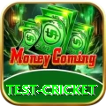 test cricket VIP Pro v1.9.4