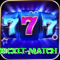 to day cricket match App