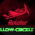 willow cricket Premium Plus v3.5.5