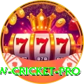 willow cricket - Casino Royal