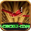 www cricket com Games (Casino & Earning) VIP v3.1.6